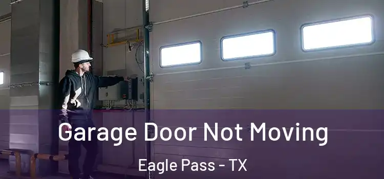  Garage Door Not Moving Eagle Pass - TX