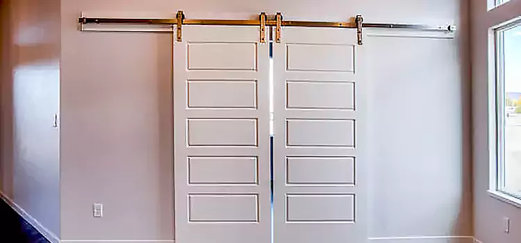 Glass Barn Door with Installation Hardware Kit Eagle Pass