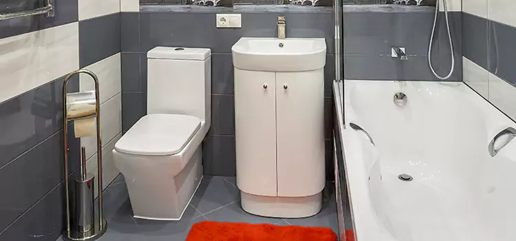 Hansgrohe Shaving Mirror Eagle Pass